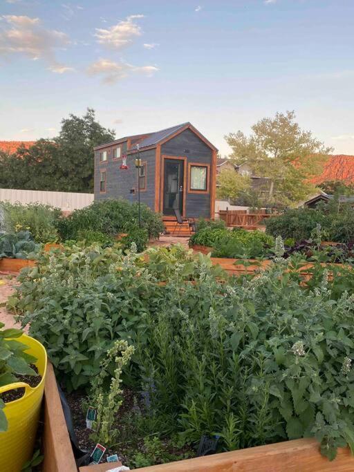 Atlantis Garden Tiny Home Hildale Esterno foto