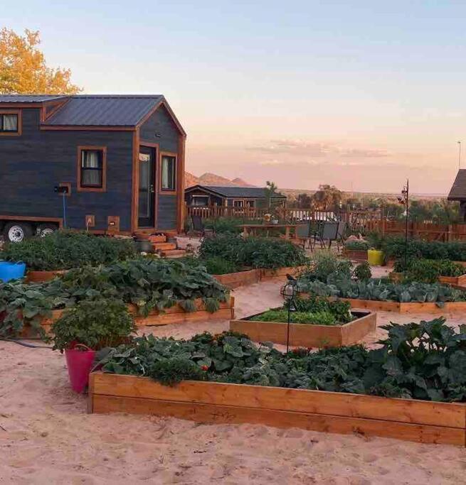Atlantis Garden Tiny Home Hildale Esterno foto