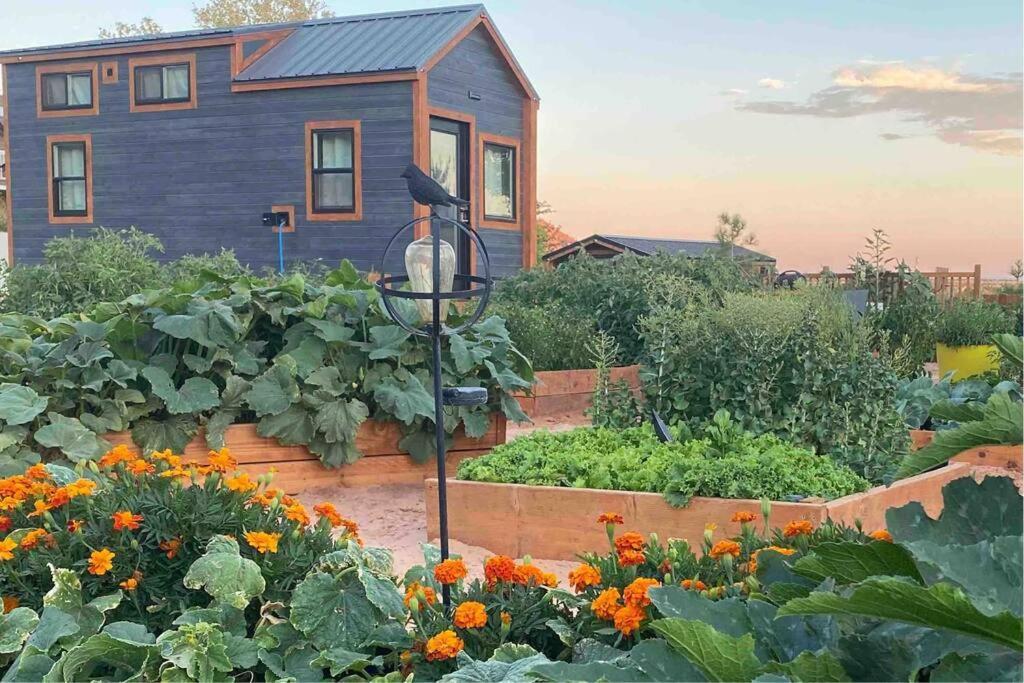 Atlantis Garden Tiny Home Hildale Esterno foto