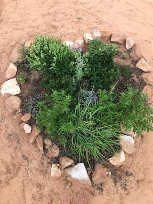 Atlantis Garden Tiny Home Hildale Esterno foto